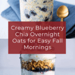 Blueberry Chia Overnight Oats Recipe