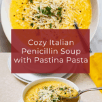 Italian Penicillin Soup Recipe