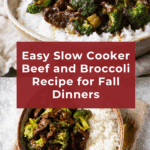 Slow Cooker Beef and Broccoli Recipe