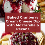Cranberry Cream Cheese Dip Recipe
