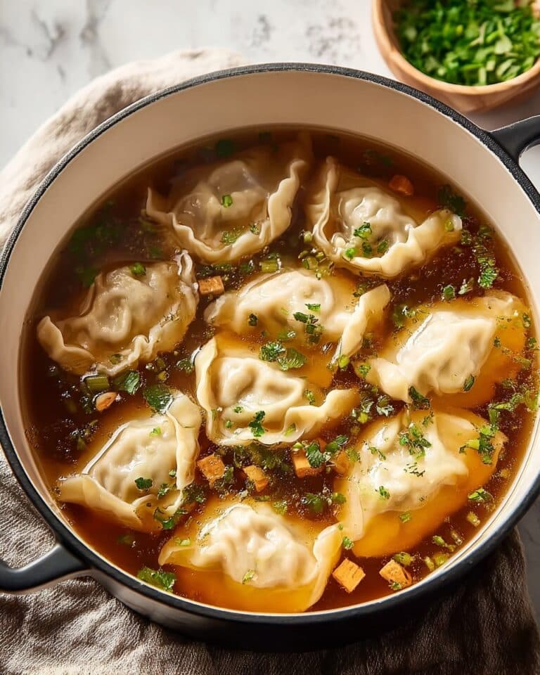 Potsticker Soup Recipe