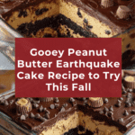 Earthquake Cake Recipes Every Peanut Butter Fan Will Love Recipe