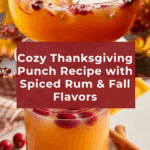 Thanksgiving Punch Recipe