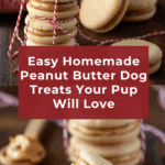 Peanut Butter Sandwiched Dog Treats Recipe