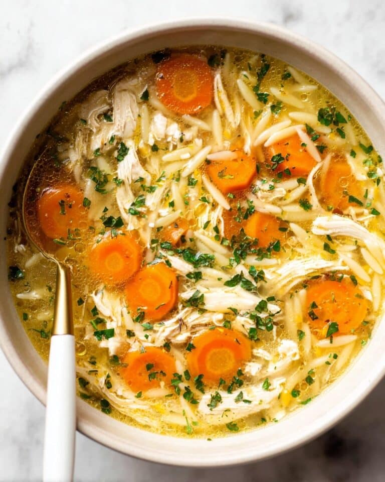Crockpot Lemon Chicken Orzo Soup Recipe